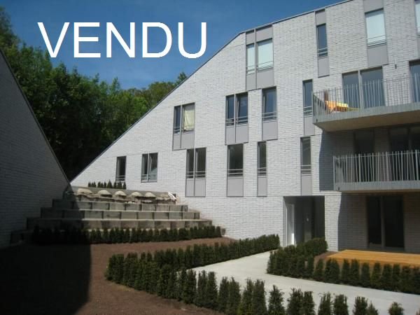 Main image thumbnail