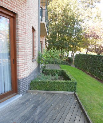 Main image thumbnail