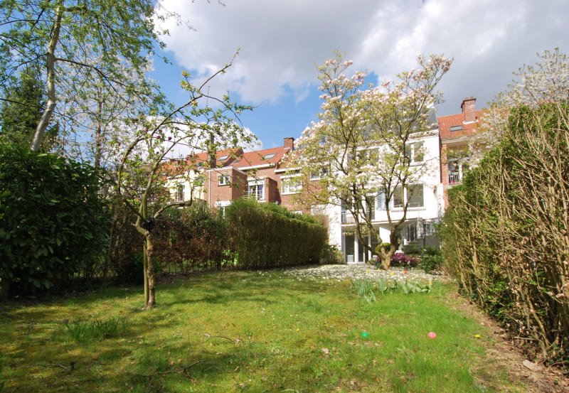 Main image thumbnail