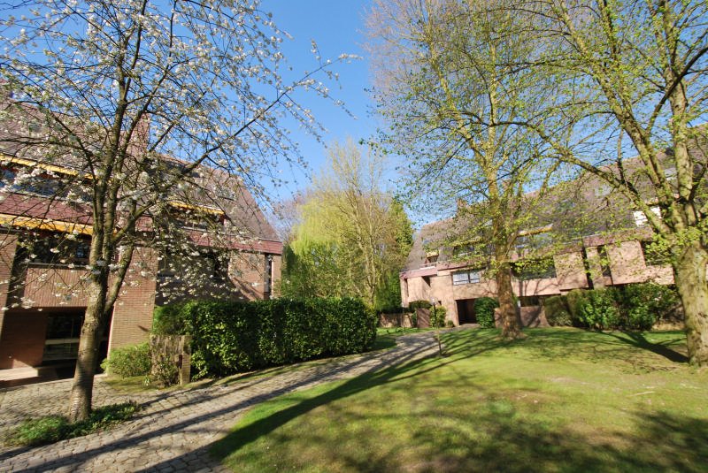 Main image thumbnail