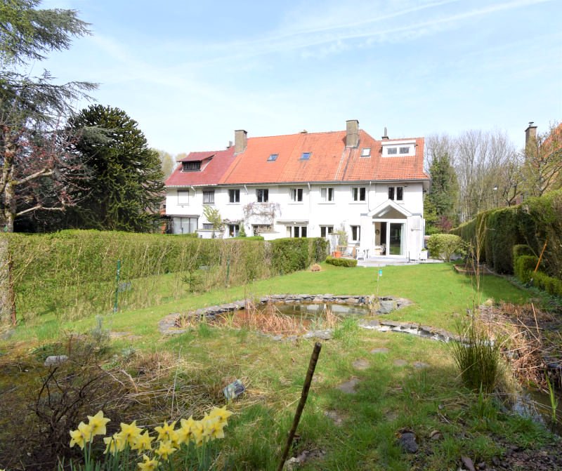 Main image thumbnail