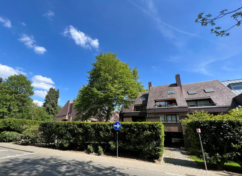 Main image thumbnail