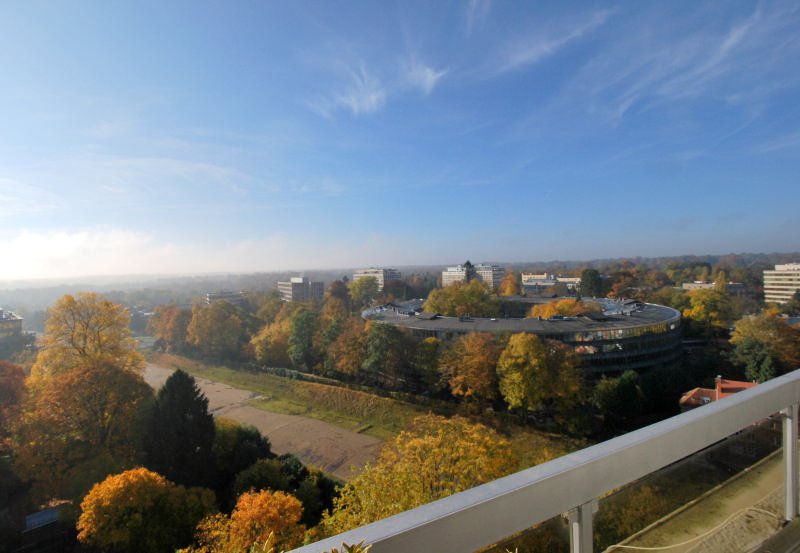 Main image thumbnail