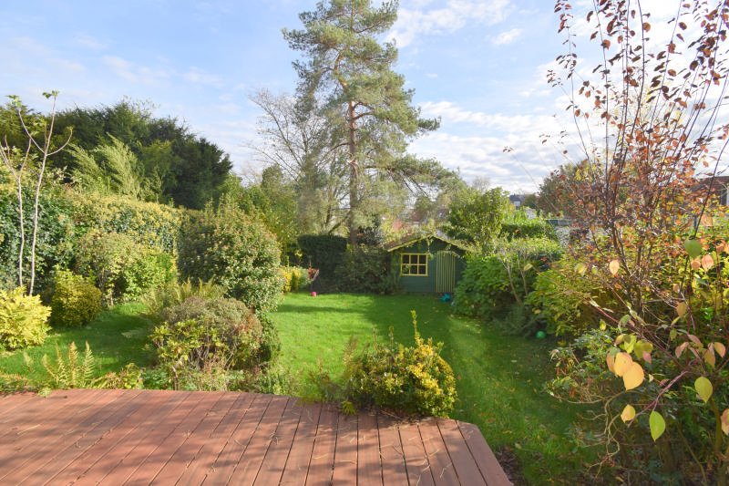 Main image thumbnail