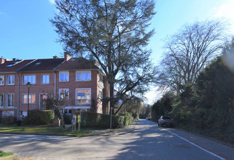 Main image thumbnail