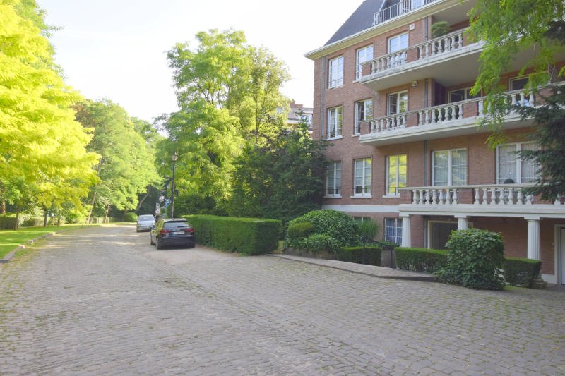 Main image thumbnail