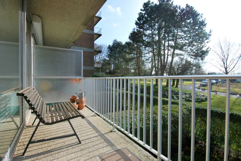 Main image thumbnail