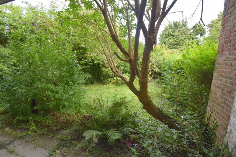 Main image thumbnail