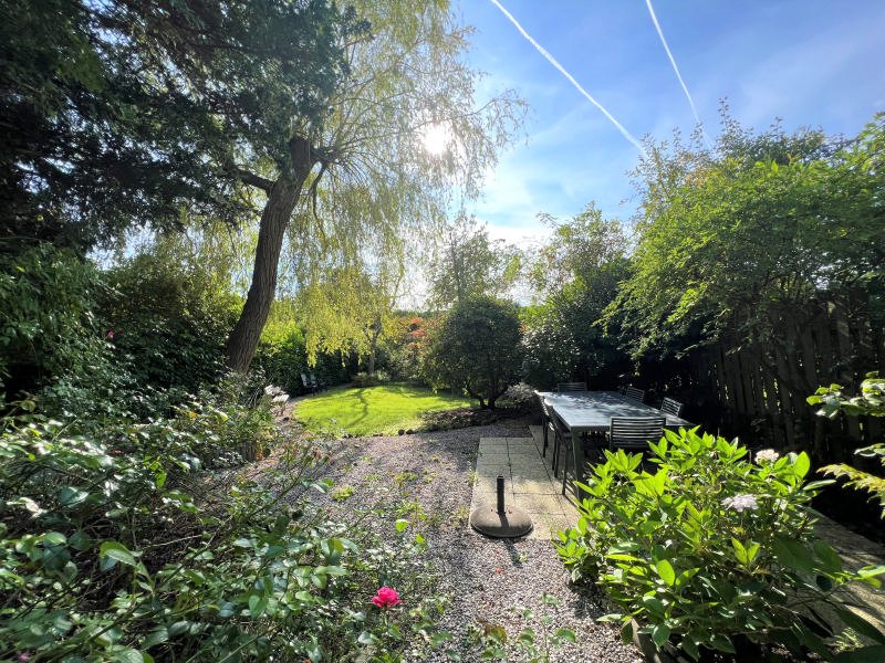 Main image thumbnail