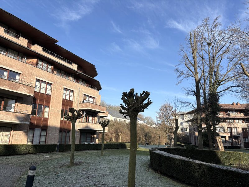 Main image thumbnail