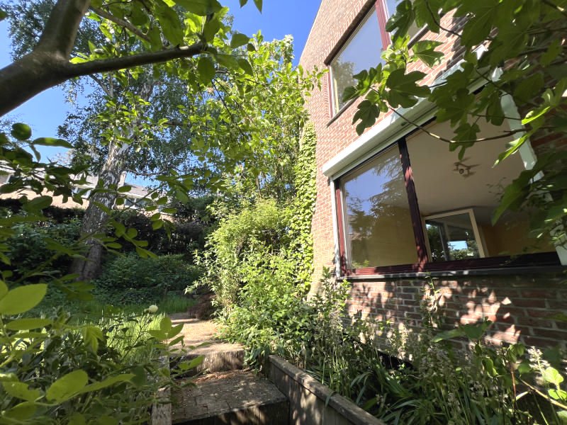 Main image thumbnail