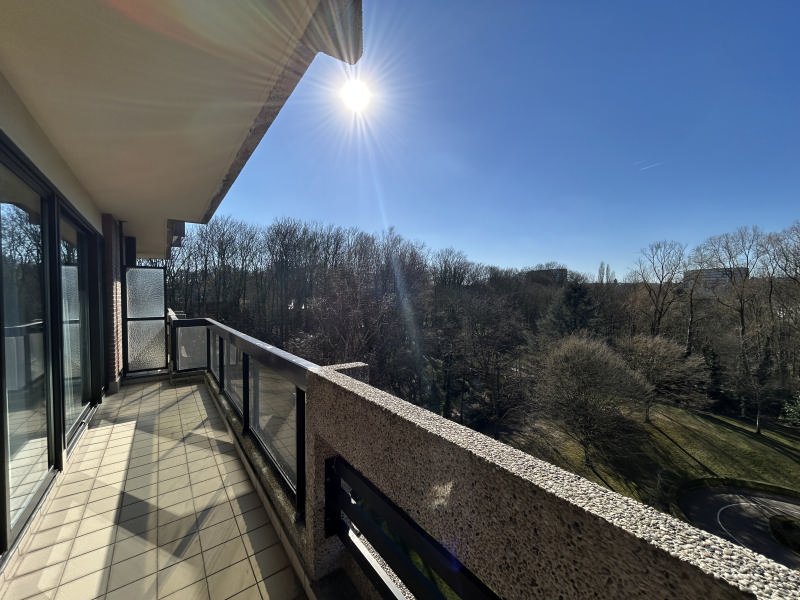 Main image thumbnail