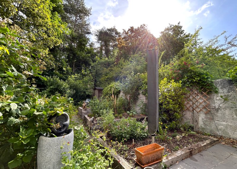 Main image thumbnail