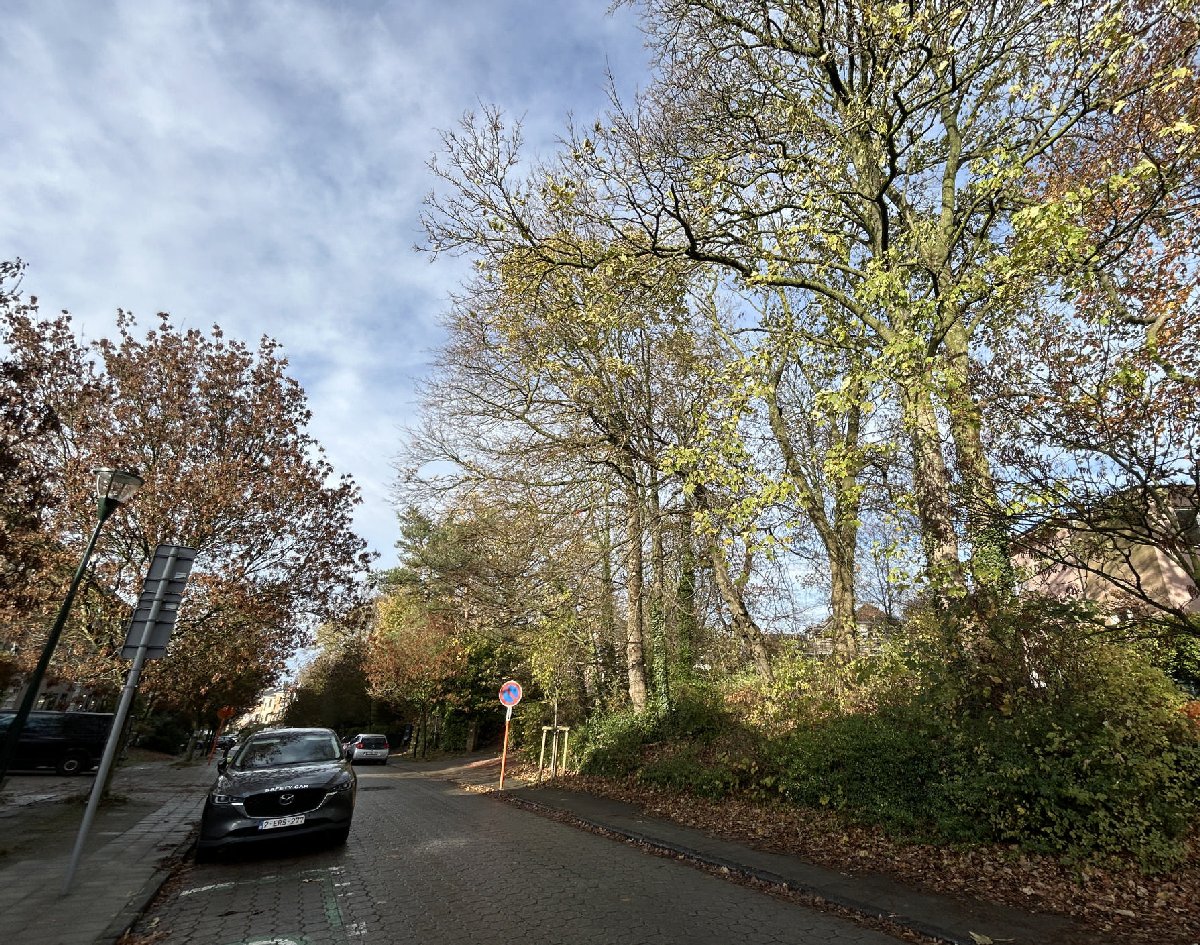 Main image thumbnail