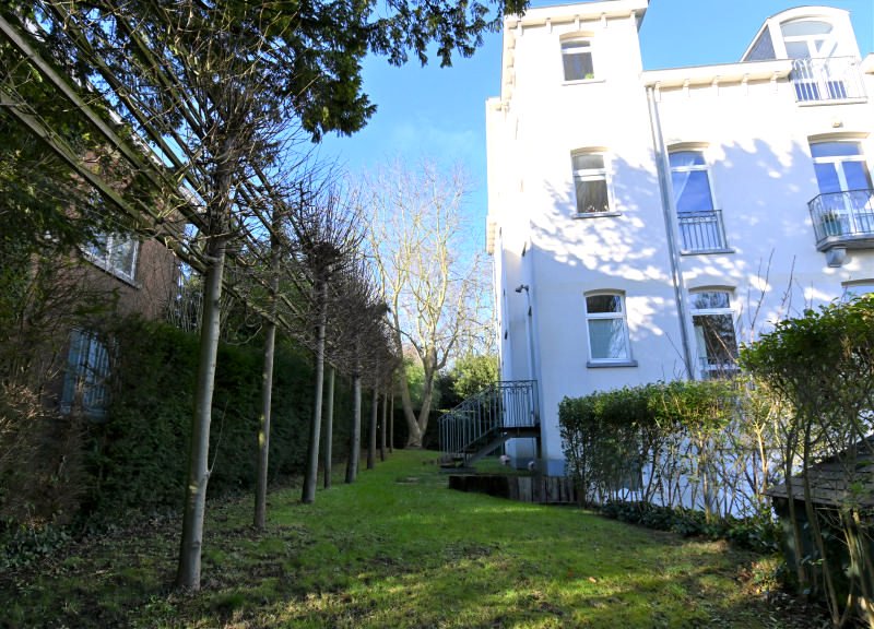 Main image thumbnail