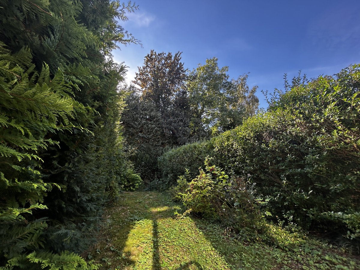 Maison 2 chambres à vendre à Watermael-Boitsfort, photo 9