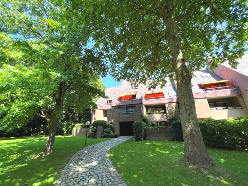 Main image thumbnail